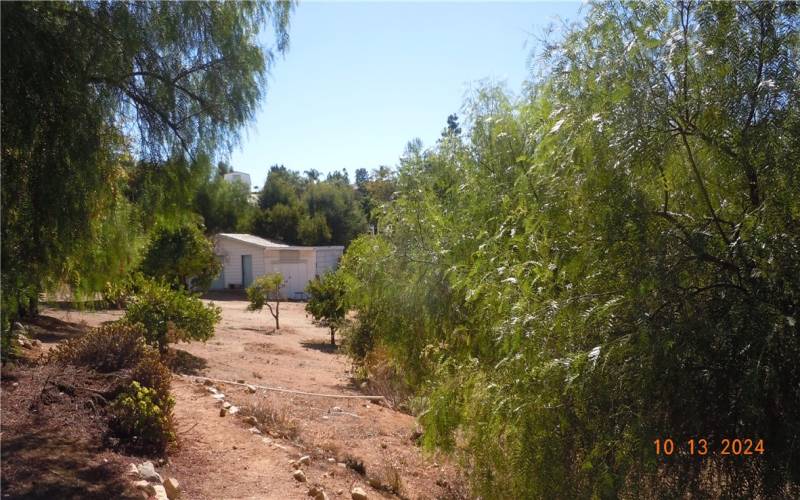 Mature trees, paths on the parcel, and the building in the distance is the workshop with carport and attached shed