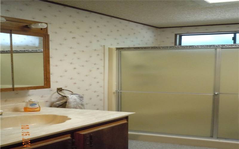 Hall bath has a stall shower, a skylight, and linen cabinet for storage.