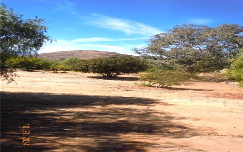 View of the hills from the property.