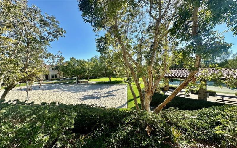 View of one of the parks from outside your front door. Note the sand volleyball court, grass areas and covered picnic/eating area.