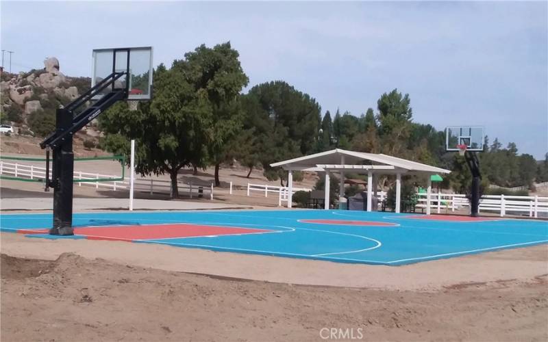 HOA Amenities Basket & Volley Ball Court