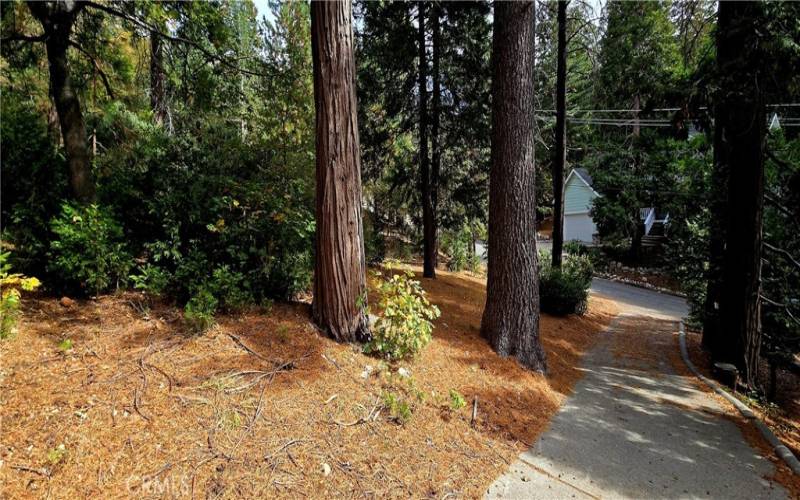 View from upper side of the lot lookig toward Pioneer