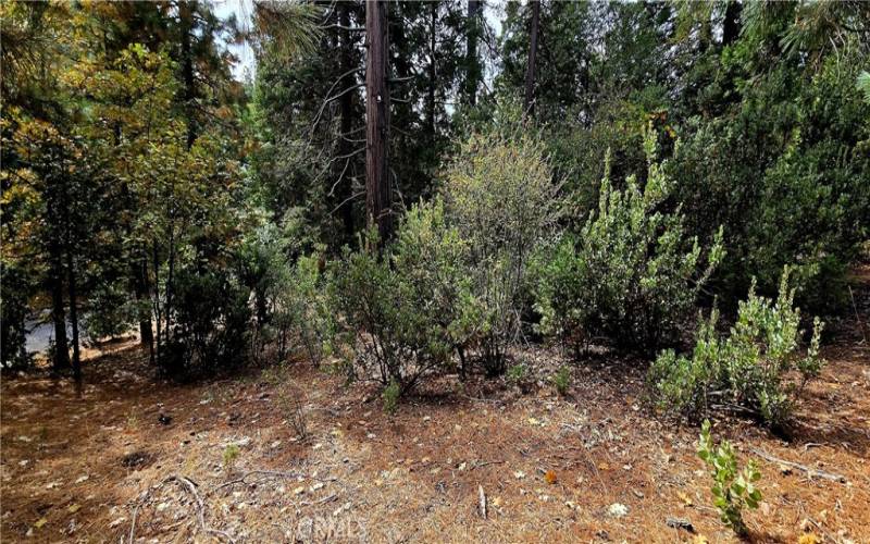 View form upper side of lot looking down to Pioneer