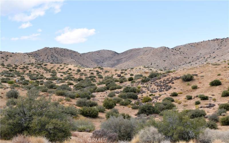 On the parcel, view facing SW