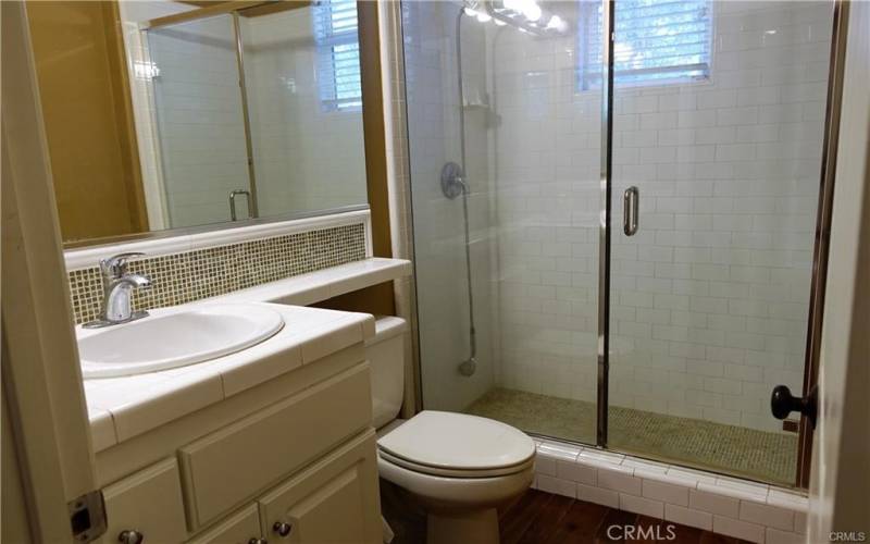 Downstairs bathroom glass door walk -in shower