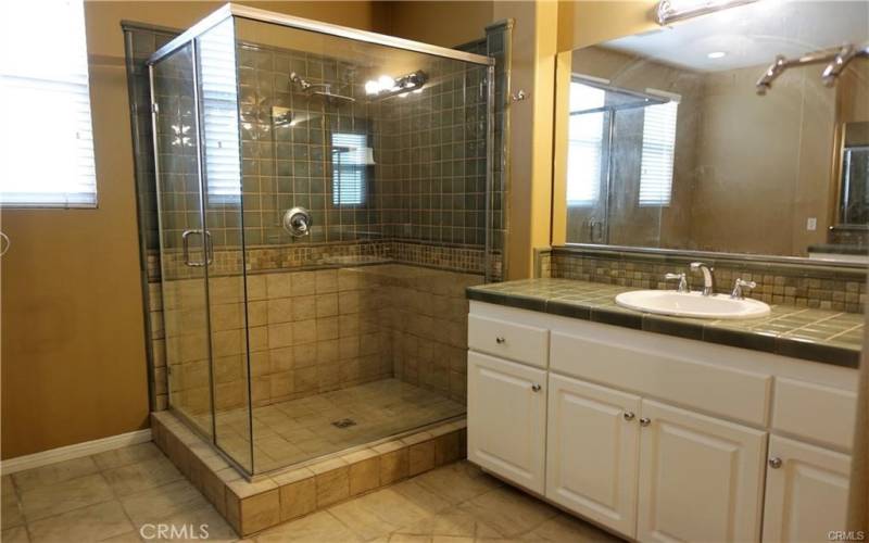 Large size walk in glass door shower and sink