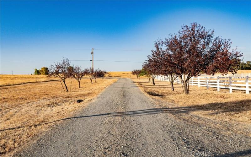 Driveway from Rowland into property