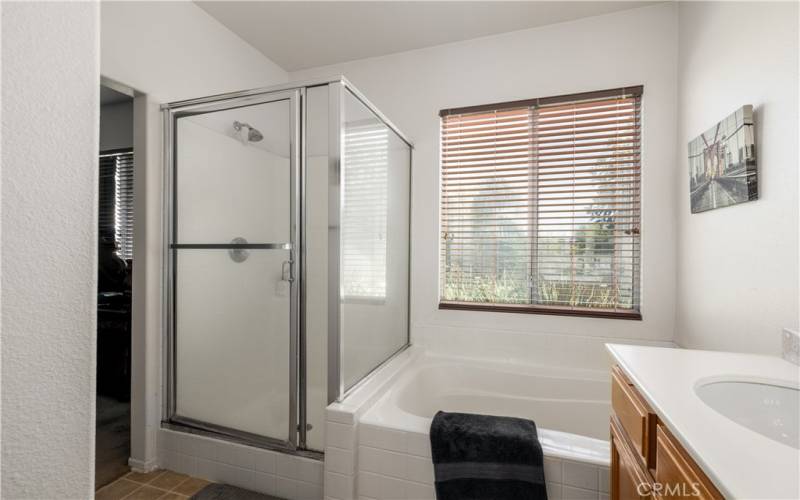 Master bath with separate shower and tub.