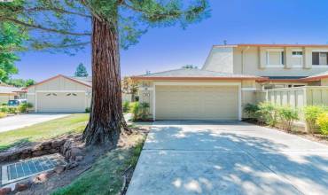 538 Via Appia, Walnut Creek, California 94598, 3 Bedrooms Bedrooms, ,2 BathroomsBathrooms,Residential,Buy,538 Via Appia,41077971