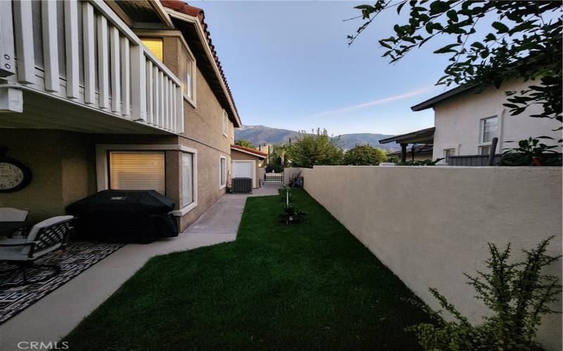 Side Yard with gate to front & Door to Garage