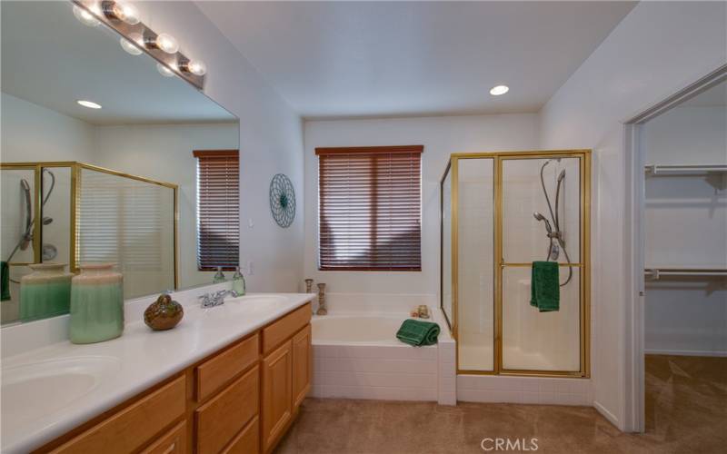 The master bath has a dual sink vanity, separate tub and shower, privacy door commode and big walk-in closet.