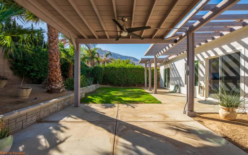 Backyard Patio to Hedge