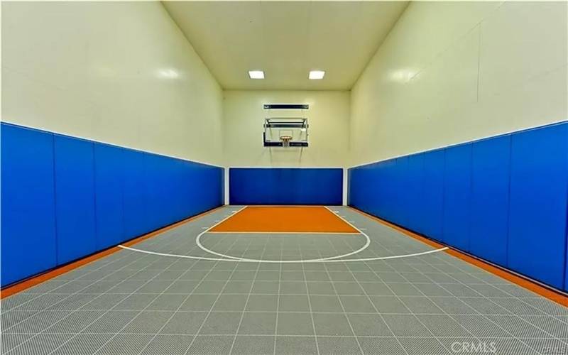 Indoor Basketball & Racket ball