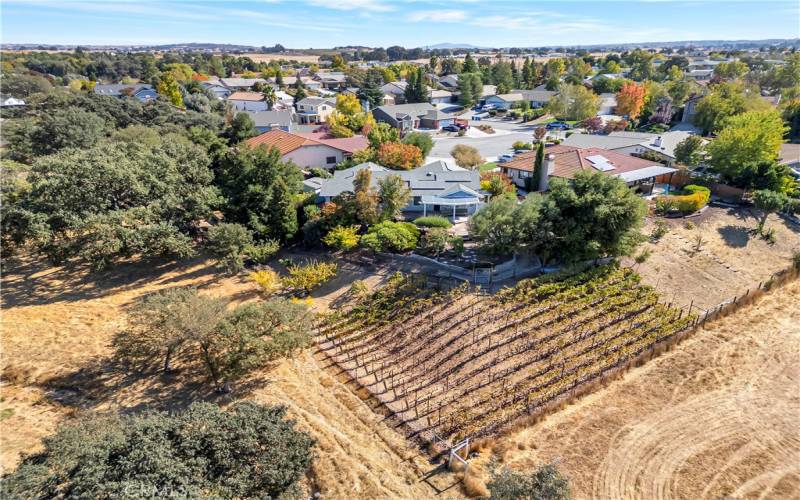 Overhead View of Home and Vineyard