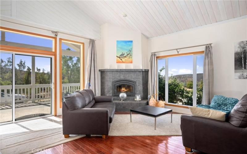 Cozy fireplace in the Living room