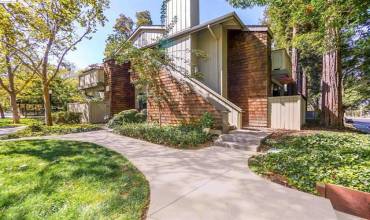 1002 La Terrace Circle, San Jose, California 95123, 2 Bedrooms Bedrooms, ,1 BathroomBathrooms,Residential Lease,Rent,1002 La Terrace Circle,ML81985550