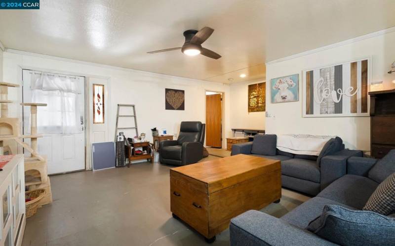 Living Room and Front Door