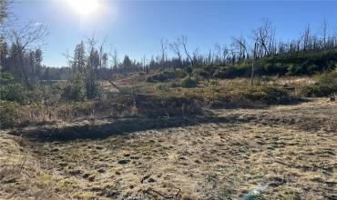 80 Meadow Lane, Berry Creek, California 95916, ,Land,Buy,80 Meadow Lane,OR24225265