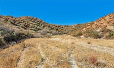 1 Warmuth, Canyon Country, California 91387, ,Land,Buy,1 Warmuth,SR24226127