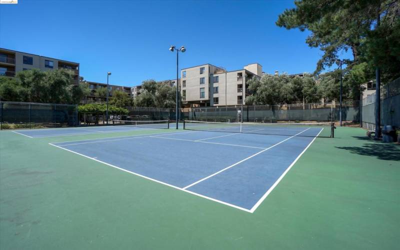 Tenis Court