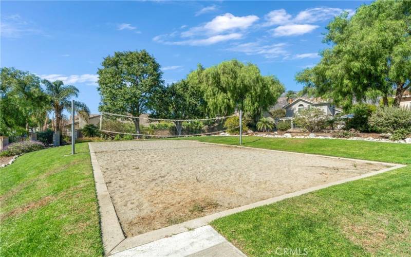 Community Volleyball Court