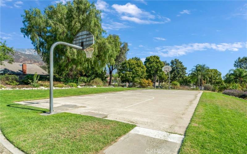 Community Basketball Courts