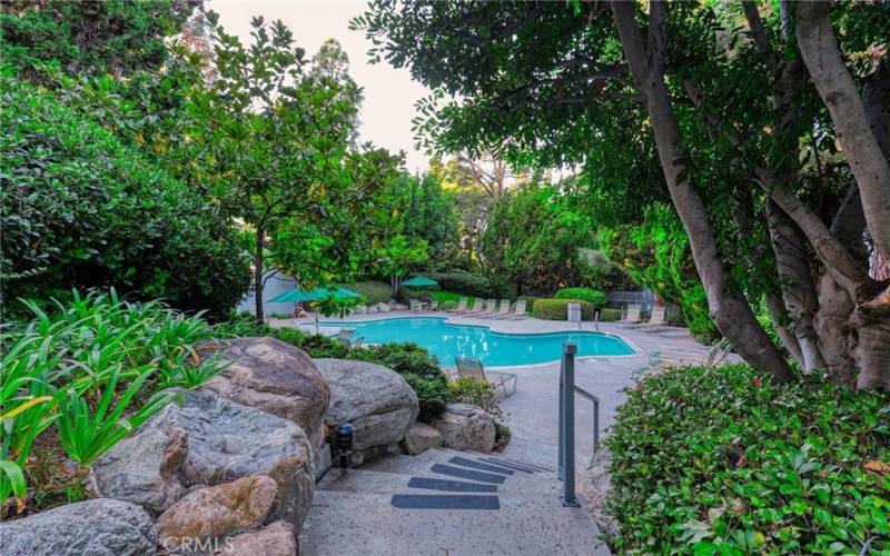 Stepping down to pool area surrounded by lush landscaping