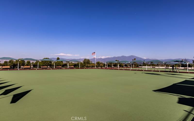 Lawn Bowling!