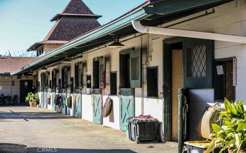 Amazing horse stables