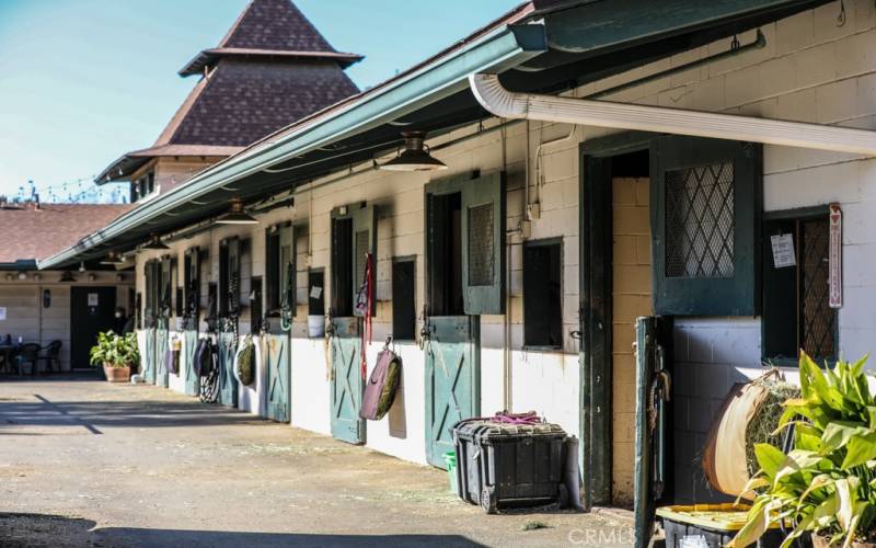 Amazing horse stables