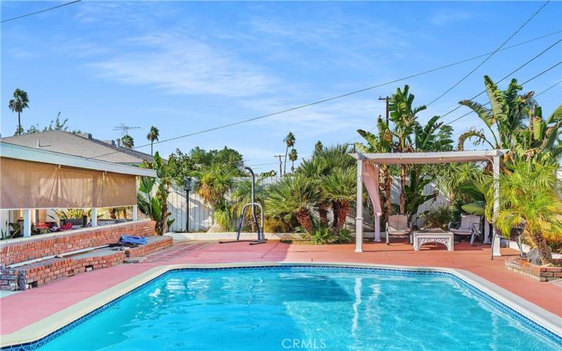 Mediterranean Fan Palms and Ponytail Palm tress enhance the beauty of this yard.