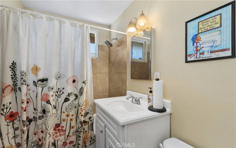 Guest bathroom