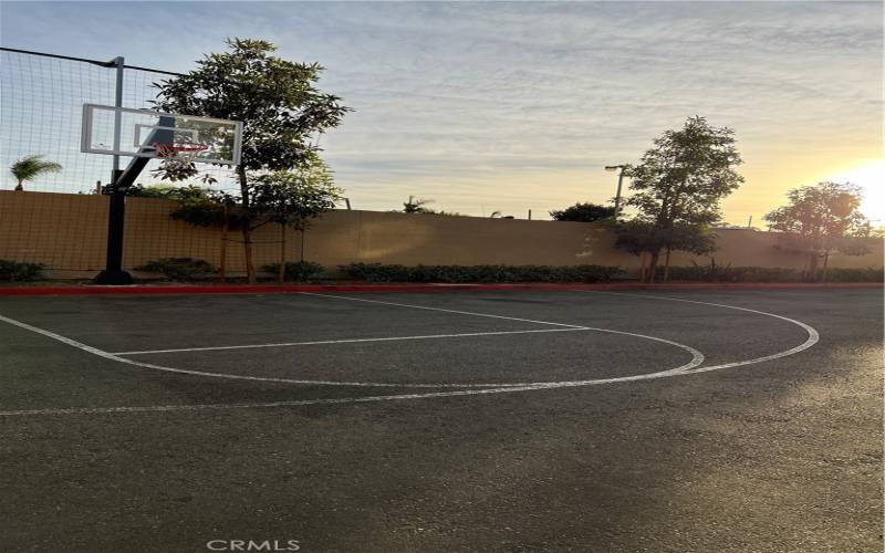 Half court basketball court.