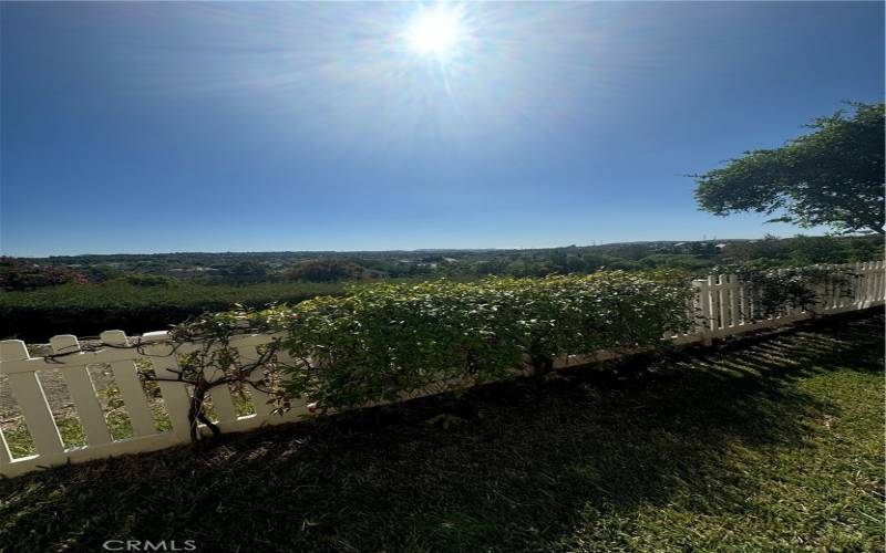 Rear fenced yard 2