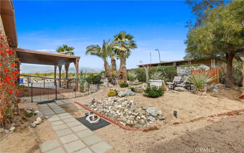 Front yard, Desert landscape