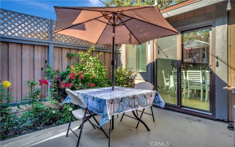 Courtyard / Patio