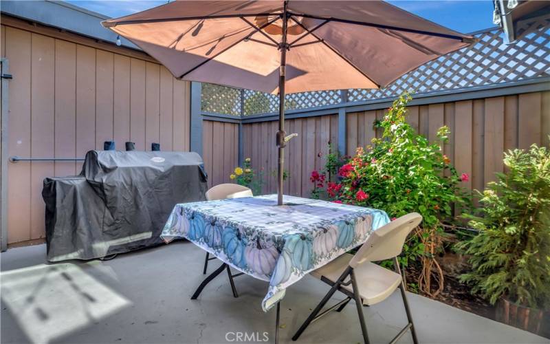 Courtyard / Patio