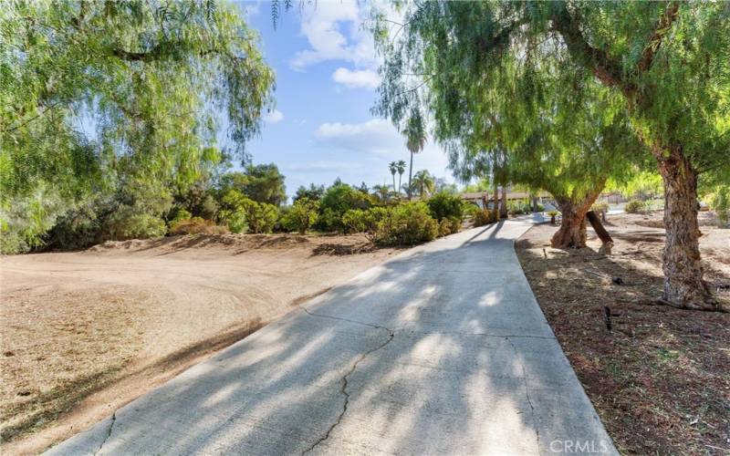 Long sweeping tree lined driveway takes you to your lovely home