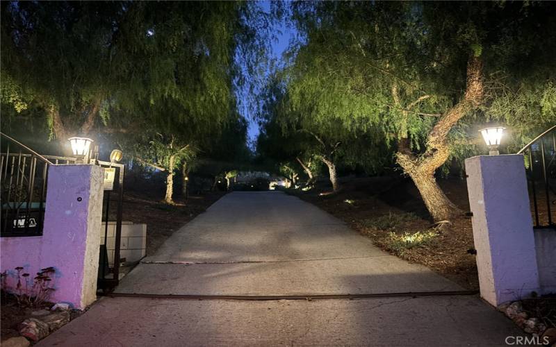 Picture of gated long driveway all lit up at night.