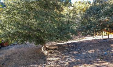 1127 Twin Lakes Drive, Wrightwood, California 92397, ,Land,Buy,1127 Twin Lakes Drive,HD24225955