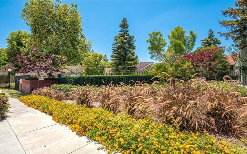 Evergreen Village has beautiful mature landscaping and grassy areas