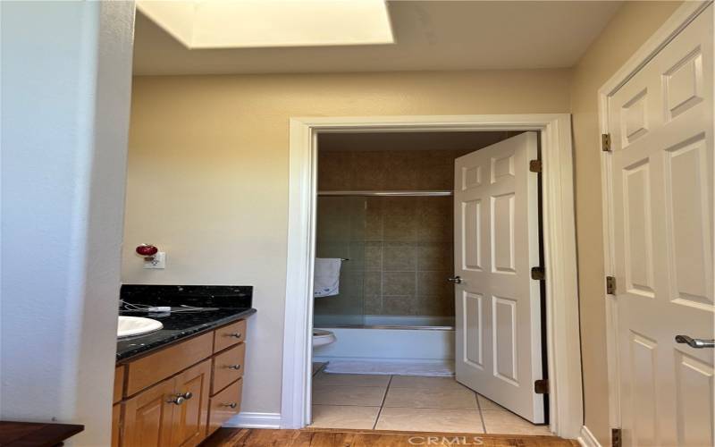 Master bathroom and walk-in closet