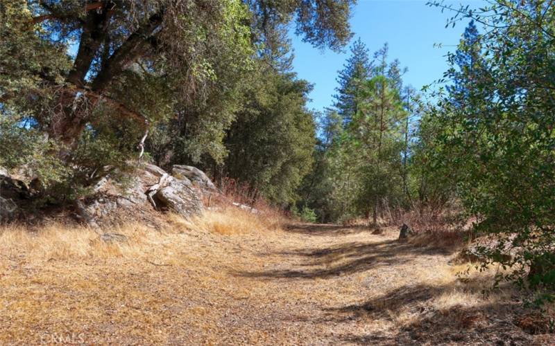 Trail to River frontage