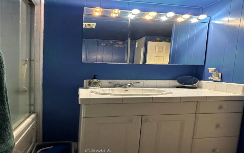 Hall Bathroom-Large vanity