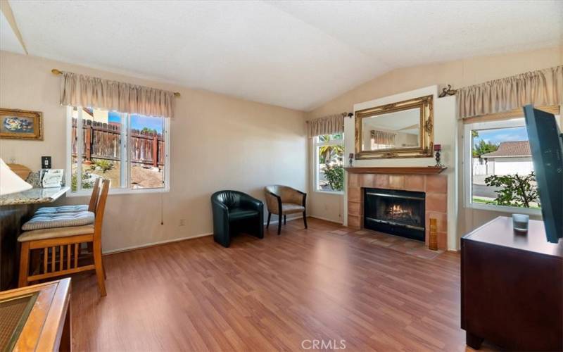 Family Room with Fireplace