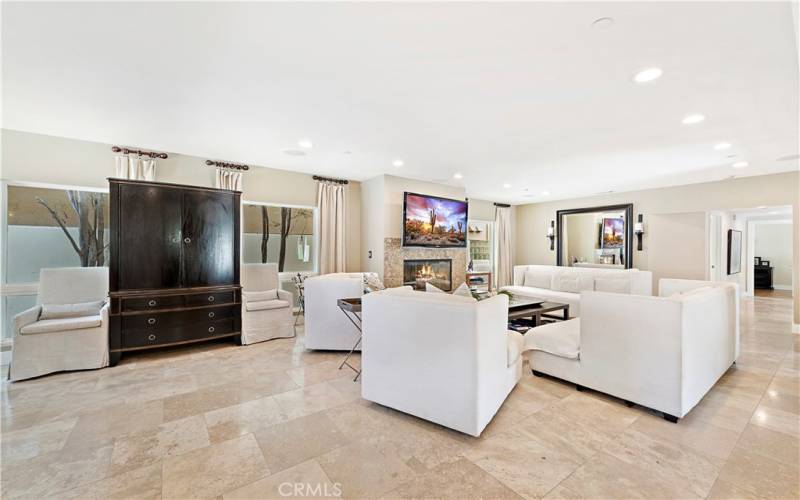 Living Room and Fireplace