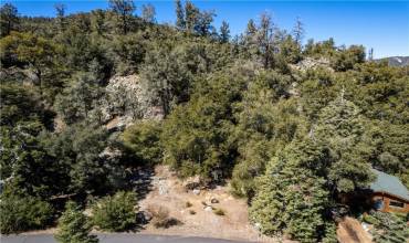 1301 Bernina Drive, Pine Mountain Club, California 93222, ,Land,Buy,1301 Bernina Drive,SR24227211