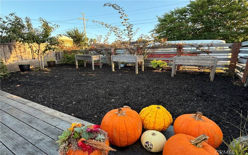 Front fenced yard