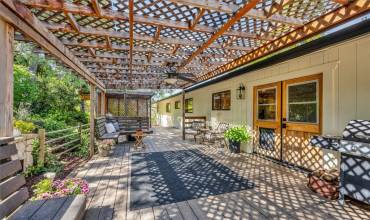 Back Deck/Patio