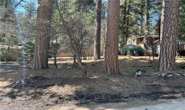 25 Whispering Pines, Running Springs, California 92382, ,Land,Buy,25 Whispering Pines,IG24227453